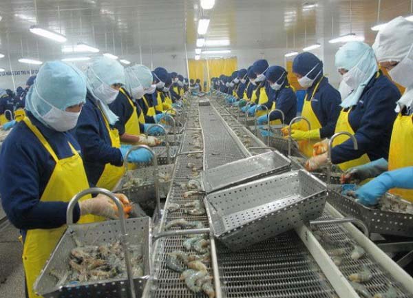 Xử lý nước thải chế biến thực phẩm 3
