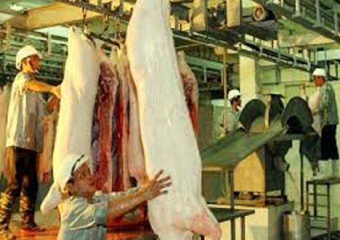 xử lý nước thải giết mổ gia súc gia cầm