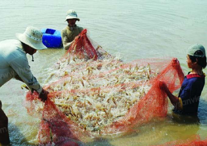xử lý nước thải nuôi tôm